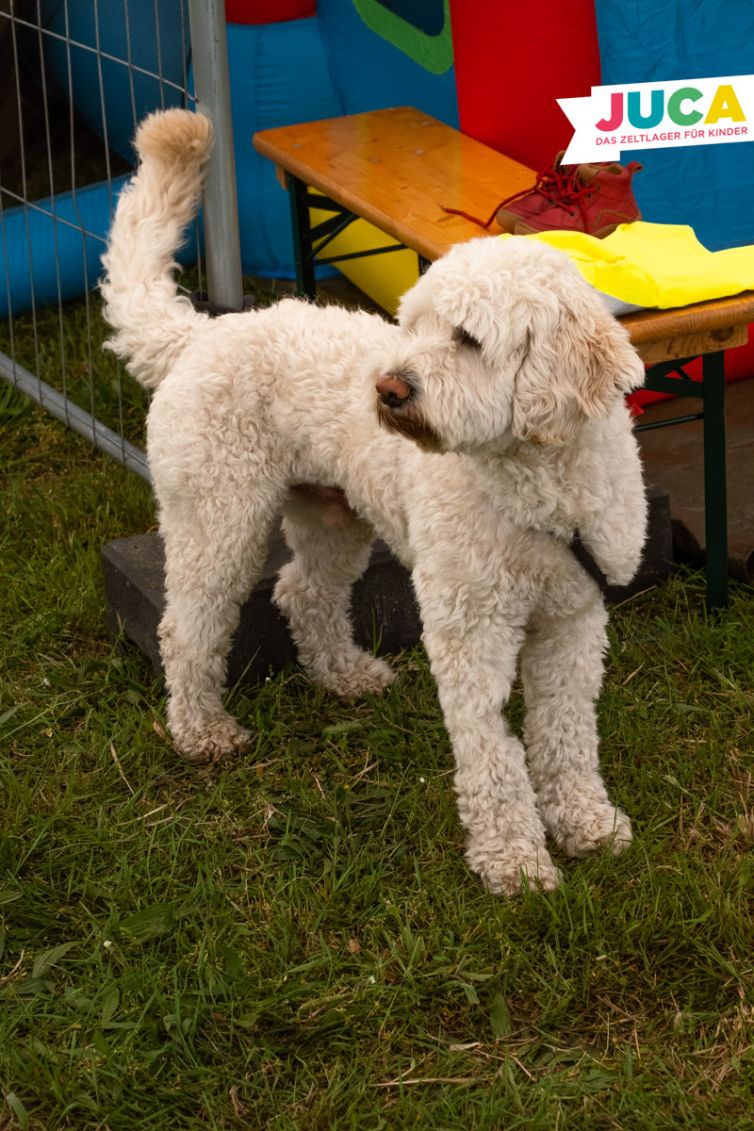 JUCA23-03-Mittwoch-02