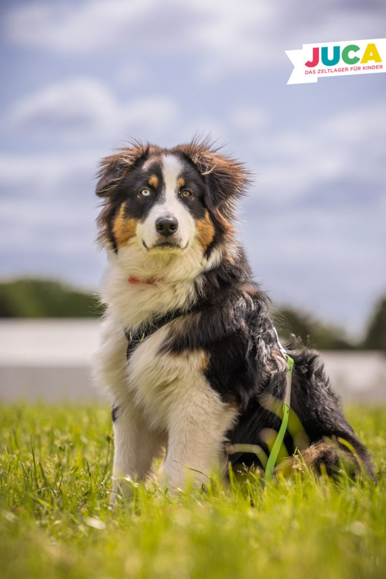 JUCA23-03-Mittwoch-58