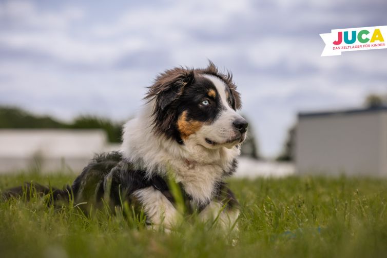 JUCA23-03-Mittwoch-59