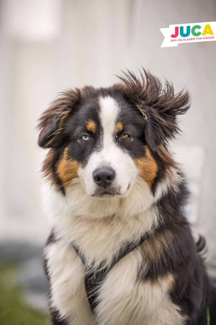 JUCA23-03-Mittwoch-60