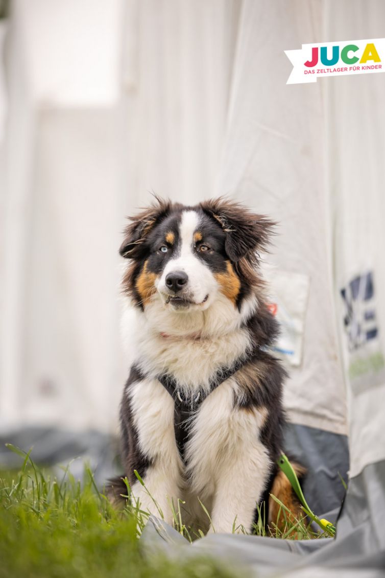 JUCA23-03-Mittwoch-61