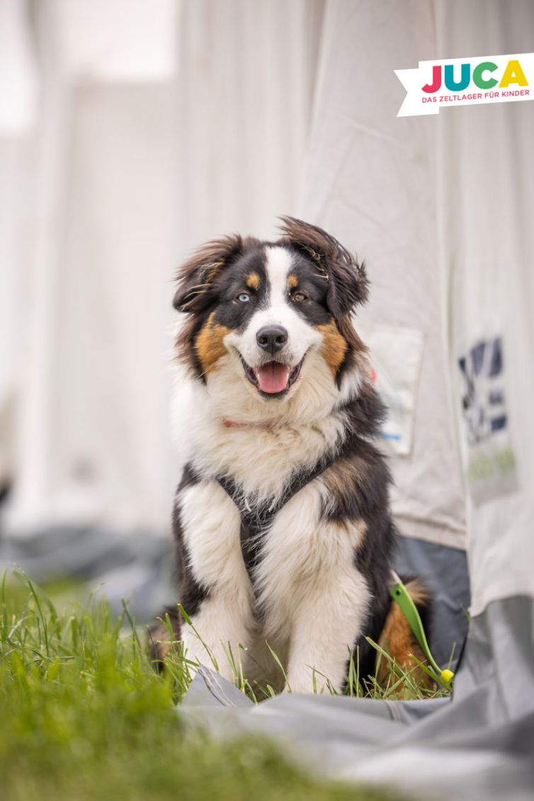 JUCA23-03-Mittwoch-62